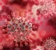 Scientists have identified human genes that fight against corona virus
