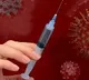 world wide corona vaccine prices are like this