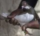 FIR against pigeon caught carrying suspicious white paper near Pakistan border