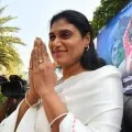 YS Sharmila postponed Riley Strikes