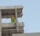 ruckus in hanmakonda