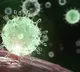 Centre issues guidelines for states and union territories ahead of third phase vaccination