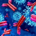 Women Have More Corona Antibodies Than Men
