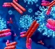 Women Have More Corona Antibodies Than Men