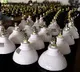 551 oxygen generation plants to be set up across India through PM Cares
