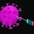 Vaccination drive for 18 years above will start in july in Andhrapradesh