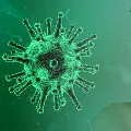 India reports 3 lakh new COVID19 cases