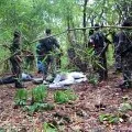 Two naxals died in Maharashtra