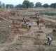 PHD holders registers their names in MGNREGS to make ends meet