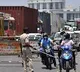 Health Ministry Recomends Lockdown
