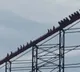Roller Coster Struck 200 Feet High in Britain