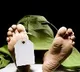 300 dead bodies in secunderabad gandhi hospital martury