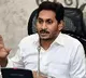 AP to spend Rs 951 crore for free vaccination