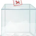 kadiam casts his vote