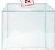 kadiam casts his vote