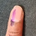 Telangana mini municipal elections polling concludes