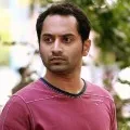 Pushpa Shooting Cancelled