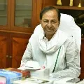 CM KCR thanked Nagarjuna Sagar voters after Nomula Bhagat victory