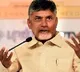 Chandrababu responds to Sabbam Hari demise