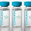 ICMR says Covaxin effective on corona Brazilian variant