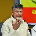 Chandrababu warns about a mutant of corona virus strain