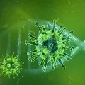 Anil Kumar Singhal condemns new mutant campaign