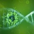 Study found corona new variant spreads very rapidly