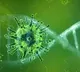 Study found corona new variant spreads very rapidly