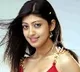 Actress Praneetha urges celebrities to help the society