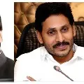 Odisha congress MP retweets on ys jagan