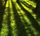 Sun Shadow missing for a while in rajahmundry