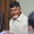 Chandrababu responds on CM Jagan one year completion