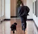 obama dog dies