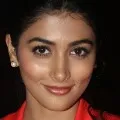 Pooja Hegde sends sweet messages