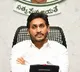 CM Jagan video conference on Spandana