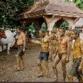 Doctors warns about cow dung therapy for corona