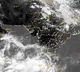 Cyclone likely to form over Arabian Sea in next few days
