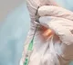 India will have 200 cr doses of vaccines by year end niti ayog member vk paul