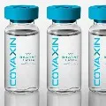 Niti Aayog member Dr VK Paul explains how Covaxin made
