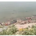 Centre issues notice to Uttar Pradesh and Bihar after dead bodies spotted at Ganga River