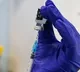 Single dose corona vaccines likely roll out in India