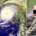 Severe flood prediction for Kerala and Tamil Nadu