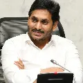curfew extends in ap