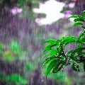 Cyclone Tauktae Effect Raing in Hyderabad