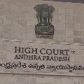 High Court adjourns hearing on AP Dairy assets case