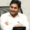 jagan review on corona ayurveda medicine