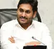 jagan review on corona ayurveda medicine
