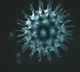 AP Covid Health Bulletin