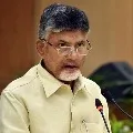 Chandrababu Naidu Responds On Doctor Sudhakar Death