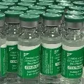 Centre ignored stock availability WHO guidelines for vaccination says Serum Institute official